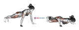 Bent Side Knee Push-up