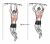 Brachialis Pull-up