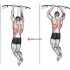 Brachialis Narrow Pull-ups