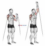 Cable Alternate Shoulder Press