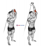 Cable Alternate Triceps Extension