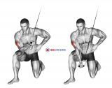 Cable Concentration Extension (on knee)