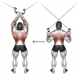Cable Cross-over Lateral Pulldown