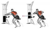 Cable Decline Seated Wide-grip Row