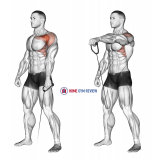 Cable Forward Raise