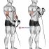 Cable Front Shoulder Raise