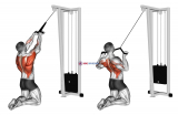 Cable High Row (kneeling)
