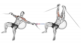 Cable Incline Fly (on stability ball)