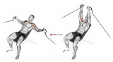 Cable Incline Fly