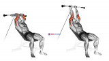 Cable Incline Triceps Extension