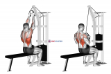Cable Lateral Pulldown (with rope attachment)