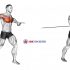 Cable One Arm Bent over Row