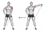 Cable One Arm Lateral Raise