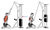 Cable One Arm Straight Back High Row (kneeling)