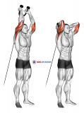 Cable Overhead Triceps Extension (rope attachment)