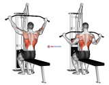 Cable Pulldown (pro lat bar)