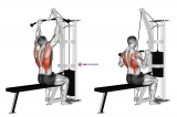 Cable Pulldown