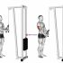 Cable Pushdown (straight arm) (version 2)