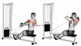 Cable Rear Delt Row (stirrups)