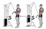 Cable Reverse-grip Pushdown