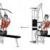Cable Reverse-grip Pushdown