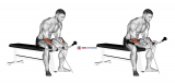 Cable Reverse Wrist Curl