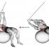 Cable Reverse Wrist Curl