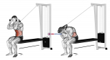Cable Seated Crunch