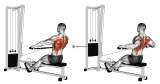 Cable Seated Wide-grip Row