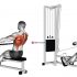 Cable Shoulder Press