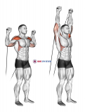 Cable Shoulder Press