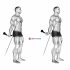 Calf Push Stretch With Hands Against Wall