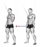 Cable Standing One Arm Triceps Extension
