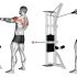 Cable Standing Pulldown (with rope)
