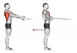 Cable Standing Row (V-bar)