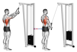 Cable Straight Arm Pulldown (with rope)