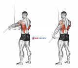 Cable Straight Arm Pulldown