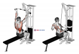 Cable Underhand Pulldown