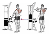 Cable Upright Row