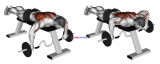 Cambered Bar Lying Row