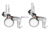 Crunch (on stability ball, arms straight)