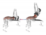 Decline Sit-up (arms straight)