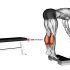 Dumbbell Alternate Biceps Curl