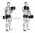 Dumbbell Alternate Biceps Curl