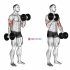 Dumbbell Alternate Side Press
