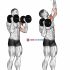 Dumbbell Alternate Biceps Curl
