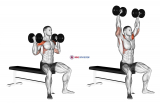 Dumbbell Arnold Press (version 2)