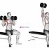 Dumbbell Alternate Side Press