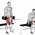 Dumbbell Bench Seated Press