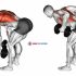 Dumbbell Biceps Curl